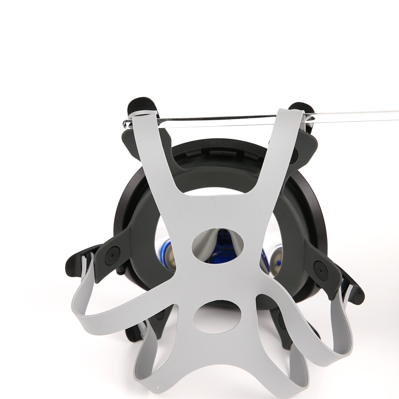 Chemical Protective Mask